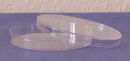 Petricsésze, 60 mm, PS, (1000 pár/doboz) higiénikus 