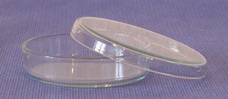 Petricsésze, üveg,  60*15 mm